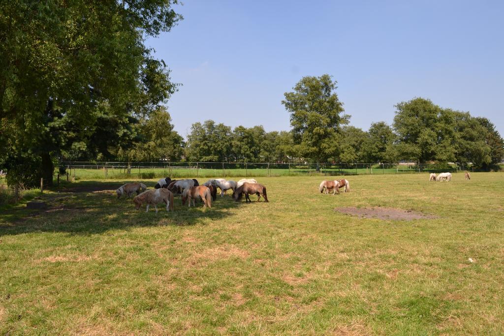 Ferienwohnung Walsbergshuisje Deurne Exterior foto